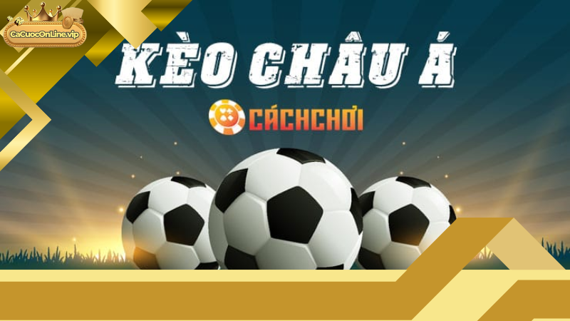 Chiến Lược Bắt Kèo Châu Á Hiệu Quả