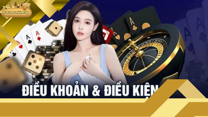 Định Nghĩa Điều Khoản và Điều Kiện