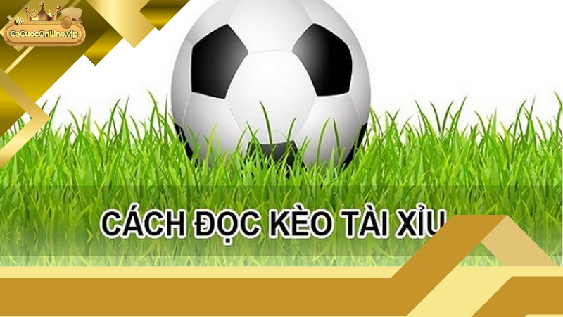 Giải thích cách xem kèo tài xỉu