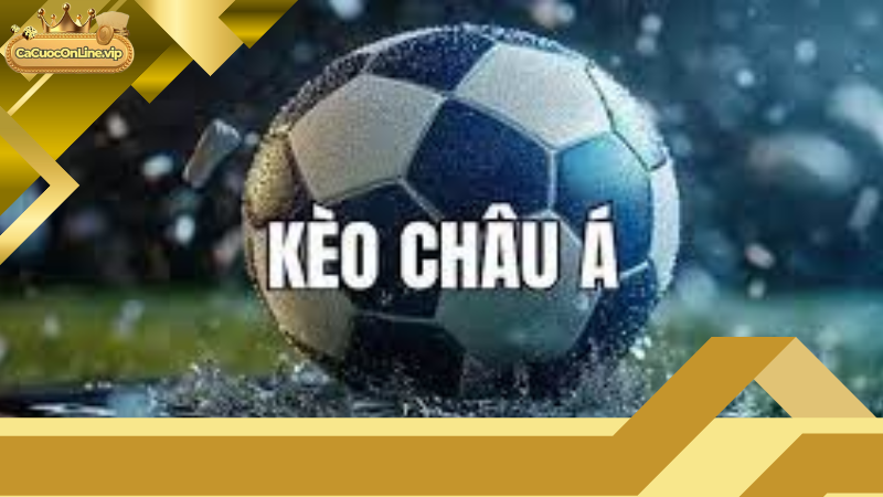 Hướng Dẫn Chọn Nhà Cái Châu Á An Toàn