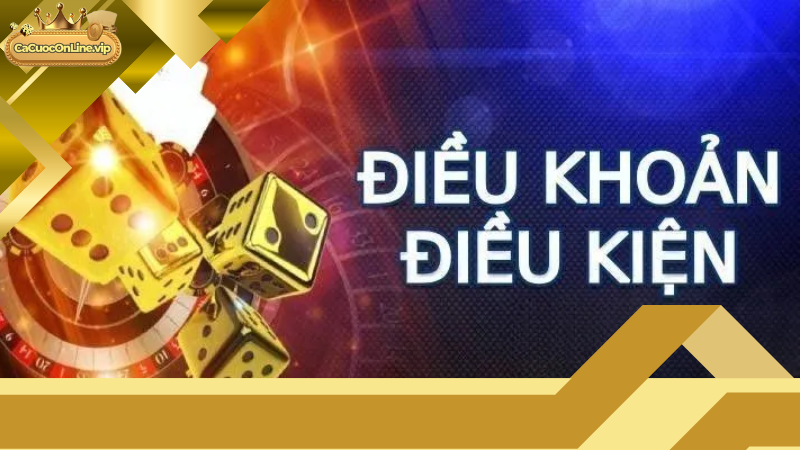 Nội Dung Quan Trọng Trong Điều Khoản