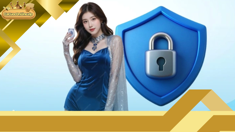 Quyền Người Dùng & Nghĩa Vụ Website
